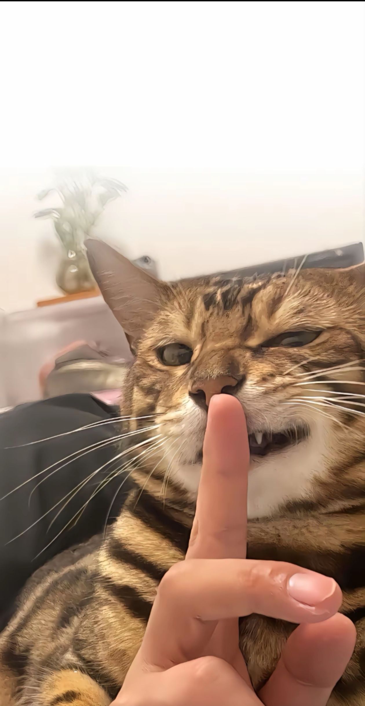 吴先生照片